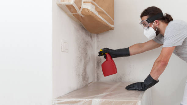 Professional Mold Inspection And Testing technician working in Burnsville, NC