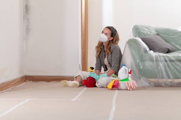 Reliable Mold Inspection And Testing contractor in Burnsville, NC by 24 Hour Mold Removal